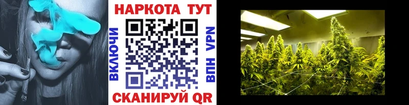 Купить наркотики сайты Мончегорск A-PVP  МЕФ  ссылка на мегу онион  Cocaine  Гашиш 