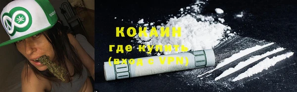 ГАЛЛЮЦИНОГЕННЫЕ ГРИБЫ Верея