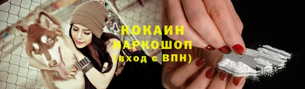 ГАЛЛЮЦИНОГЕННЫЕ ГРИБЫ Верея