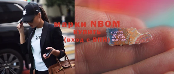 ГАЛЛЮЦИНОГЕННЫЕ ГРИБЫ Верея