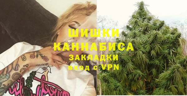 ГАЛЛЮЦИНОГЕННЫЕ ГРИБЫ Верея