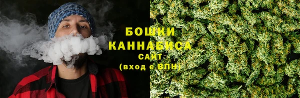 ГАЛЛЮЦИНОГЕННЫЕ ГРИБЫ Верея