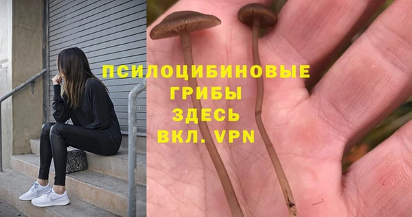 стаф Верхнеуральск