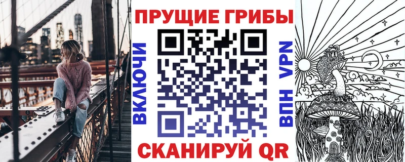 Галлюциногенные грибы прущие грибы  Мончегорск 